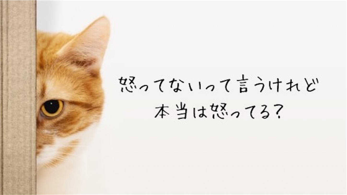 f:id:akisan01:20240606235056j:image