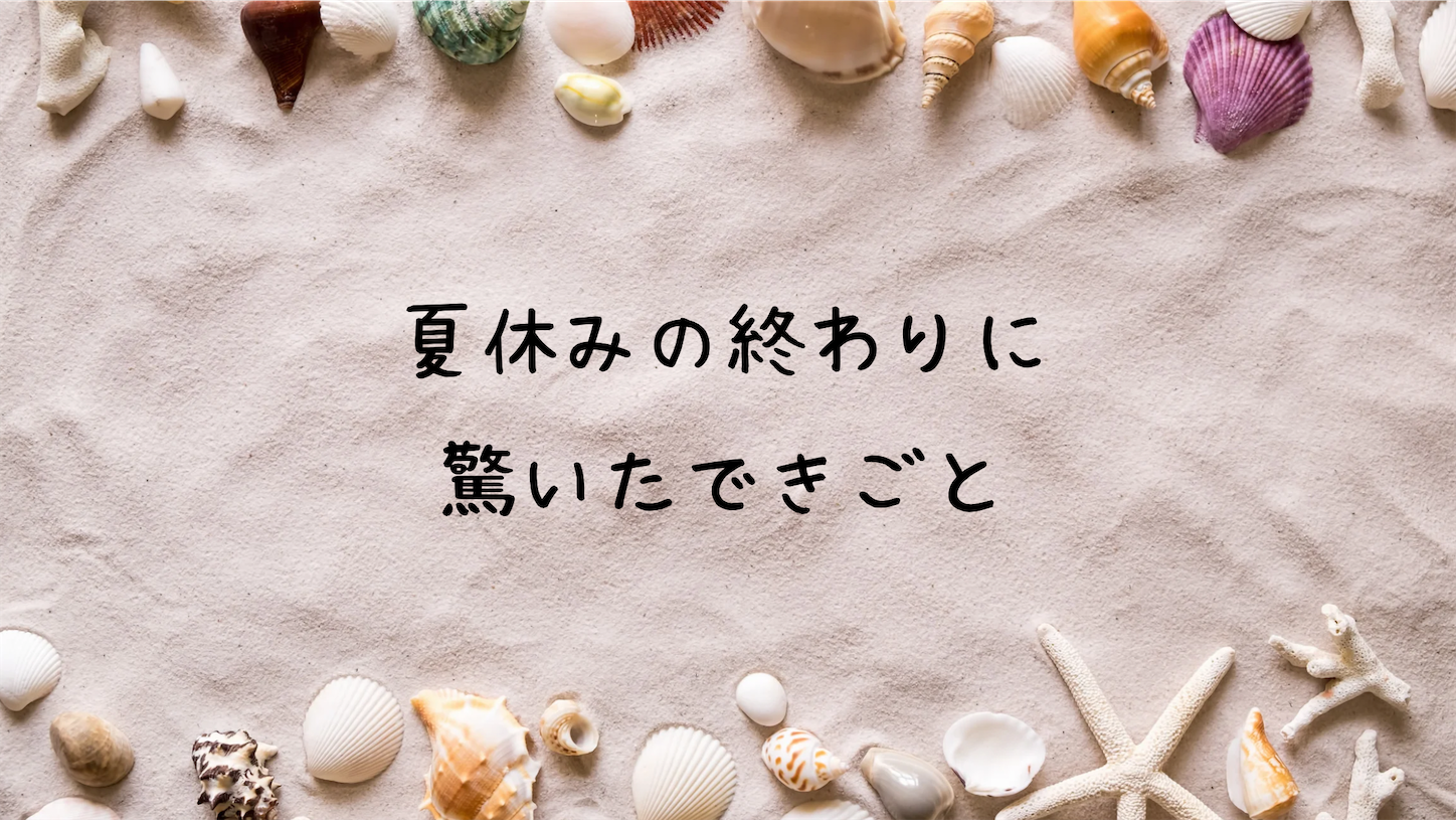 f:id:akisan01:20240827205229p:image