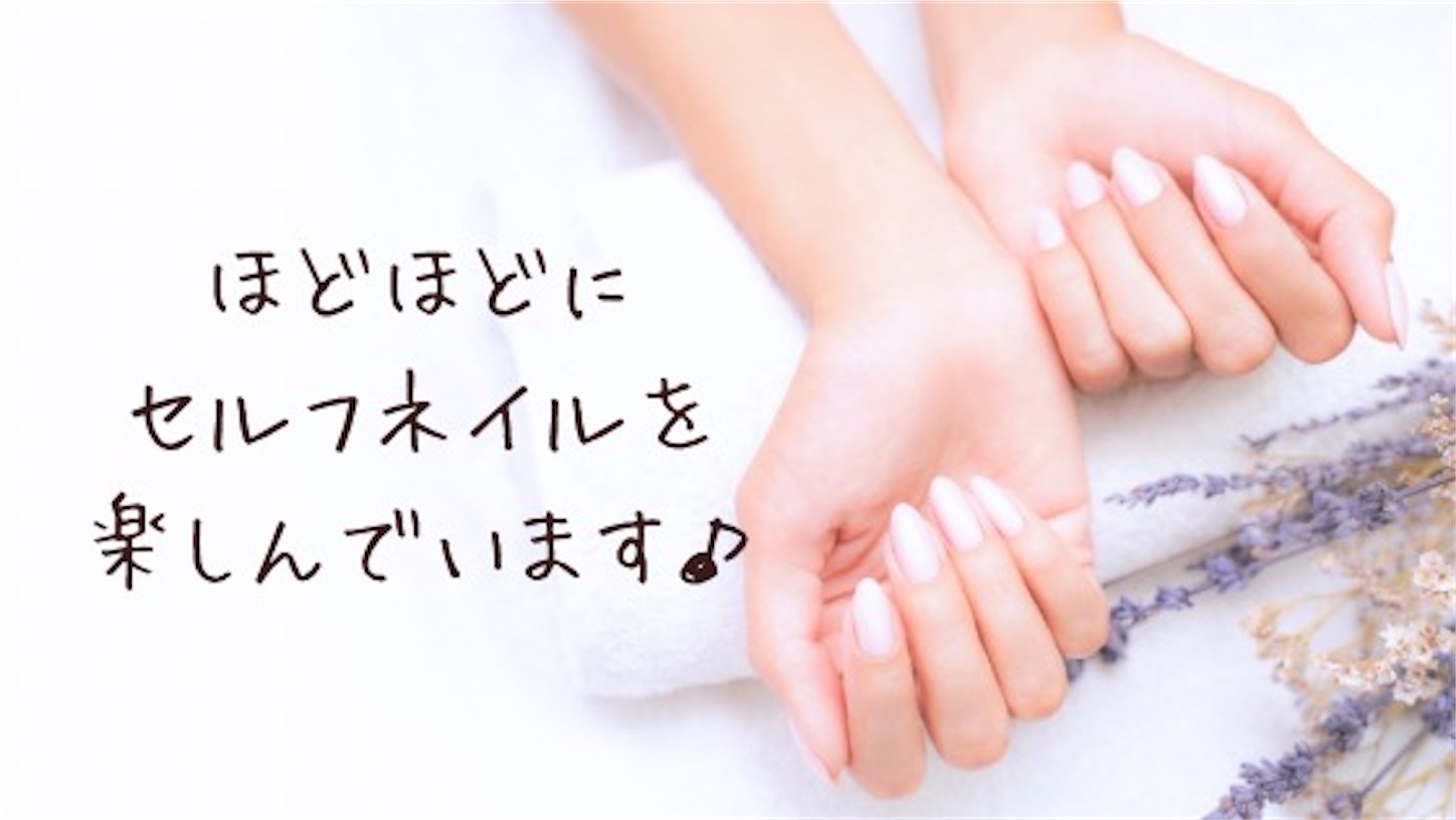 f:id:akisan01:20240923232645j:image