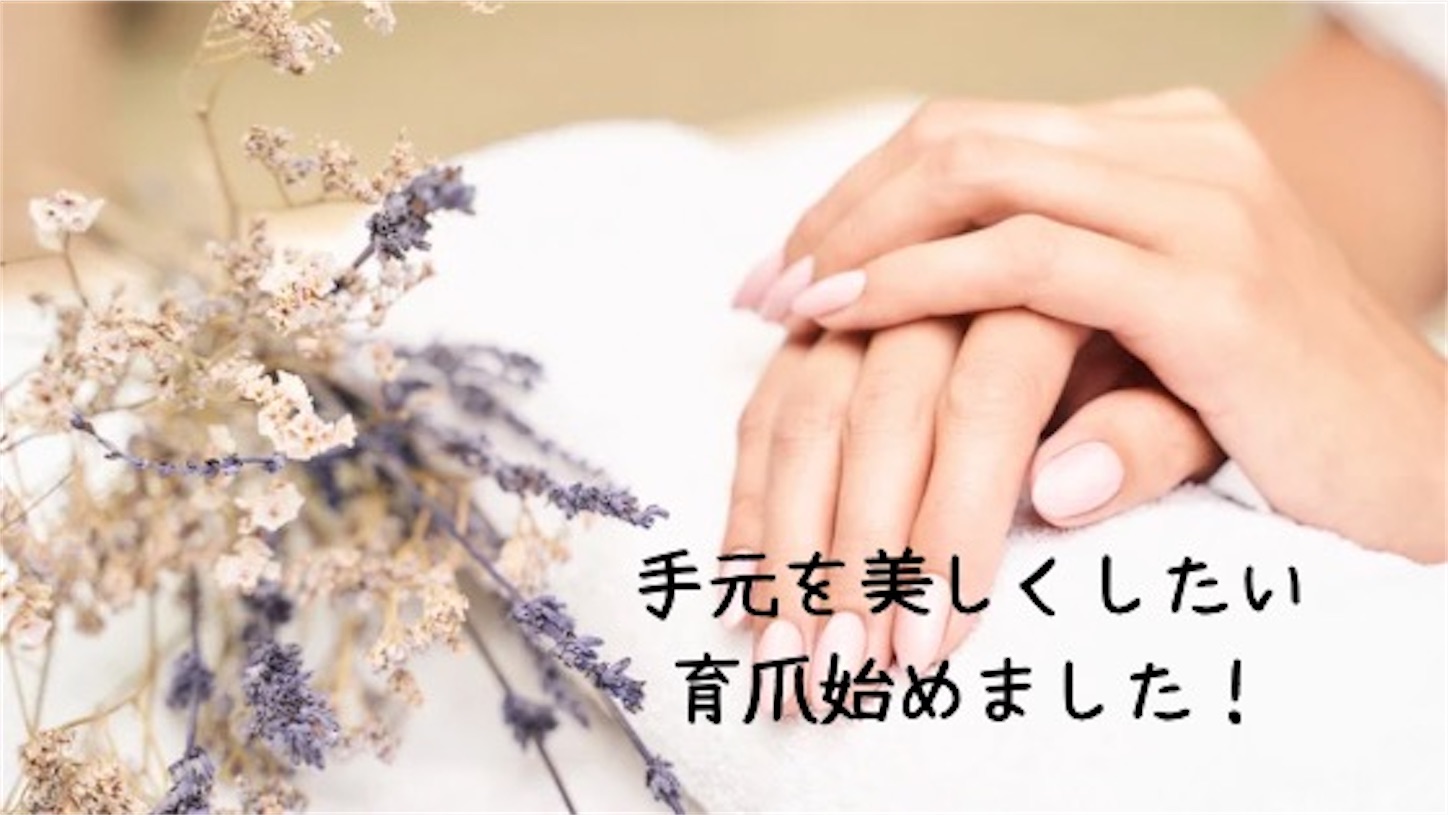 f:id:akisan01:20241106132713j:image