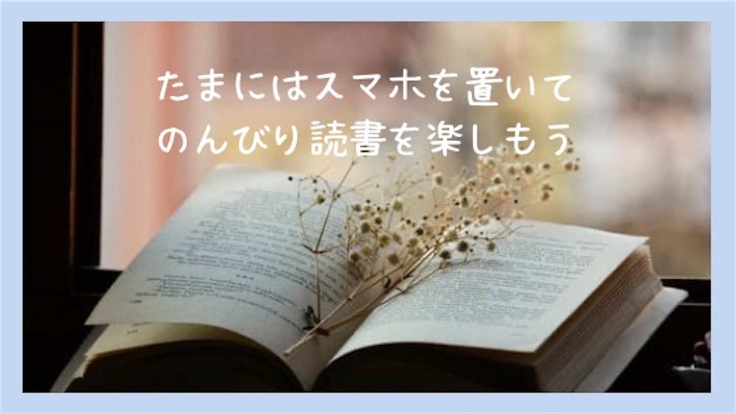 f:id:akisan01:20241113220424j:image