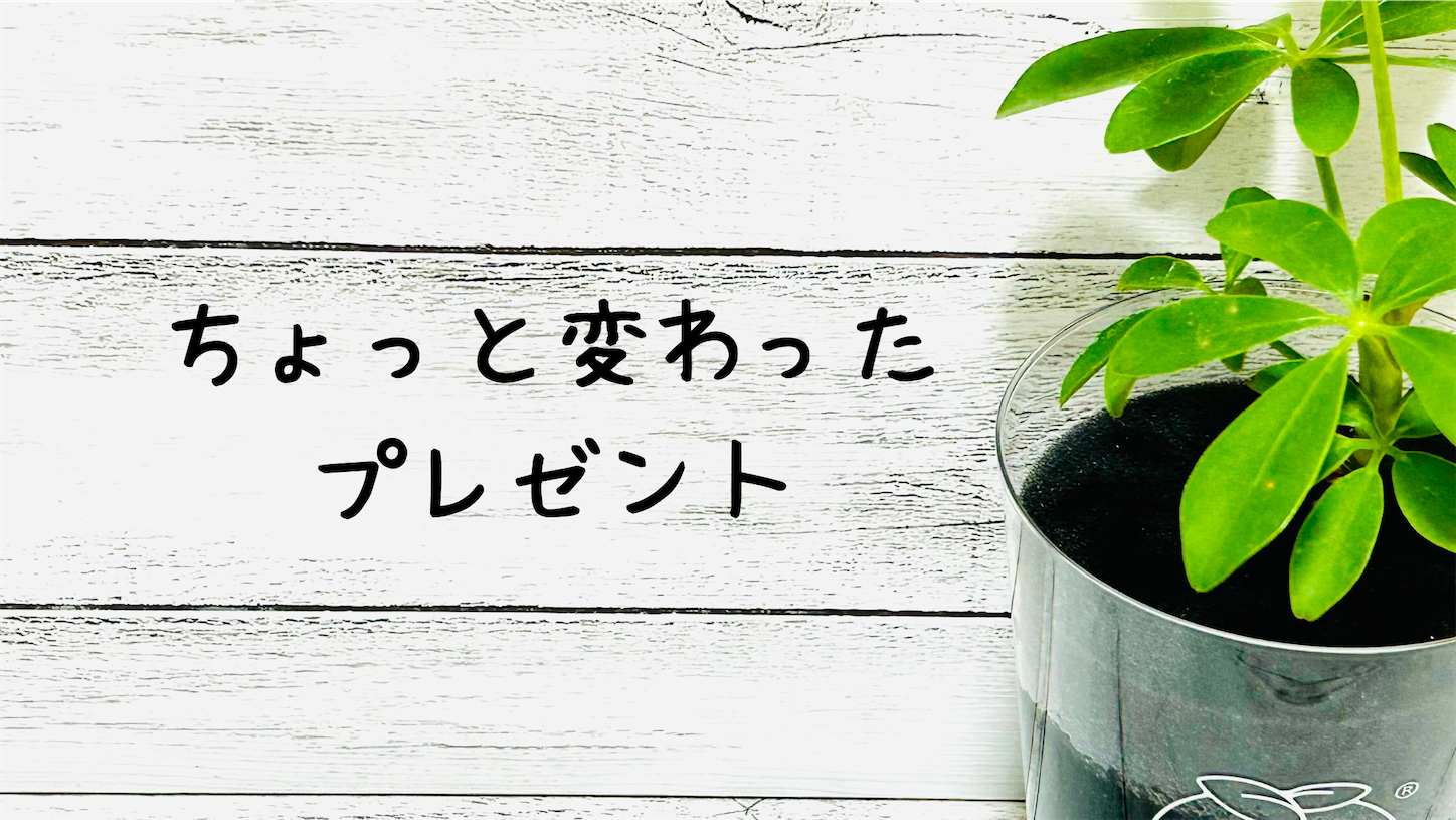 f:id:akisan01:20241201145906p:image