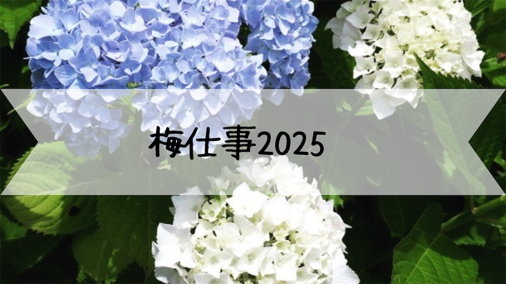 f:id:akisan01:20250608221713p:image