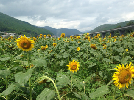 f:id:akisan0413:20160918073653j:plain f:id:akisan0413:20160918073653j:plain