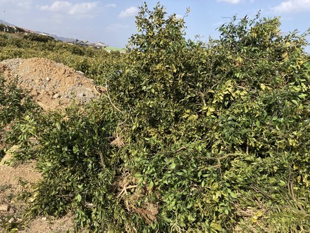 f:id:akisan0413:20220306085137j:plain