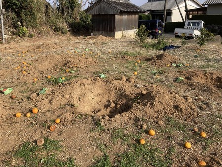 f:id:akisan0413:20220306085307j:plain