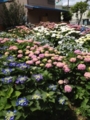 f:id:akisanada:20130529094950j:image:medium