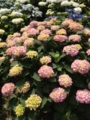 f:id:akisanada:20130529095008j:image:medium