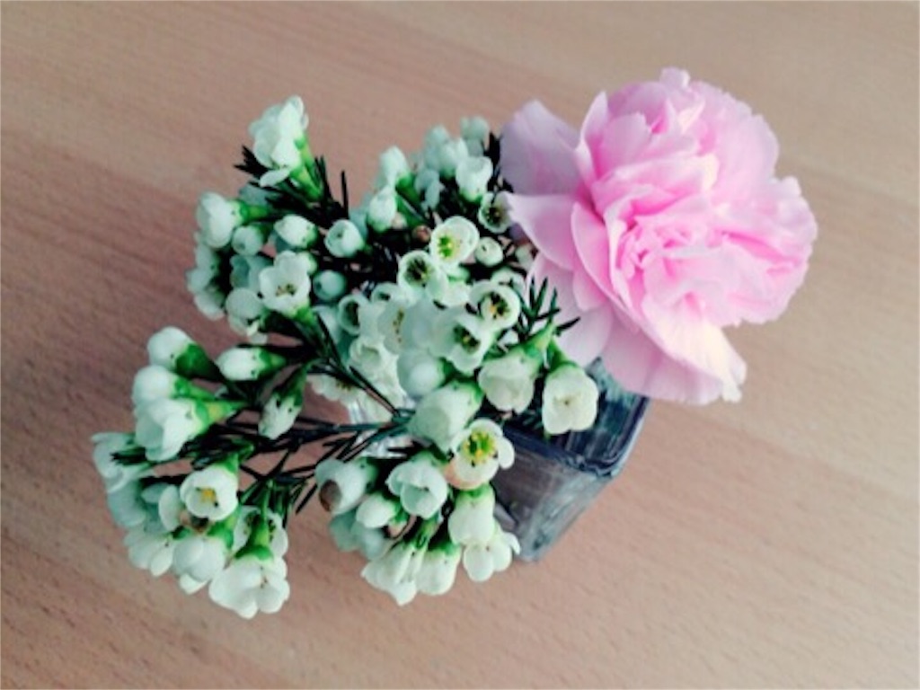 f:id:akislog:20151006105322j:image f:id:akislog:20151006105322j:image