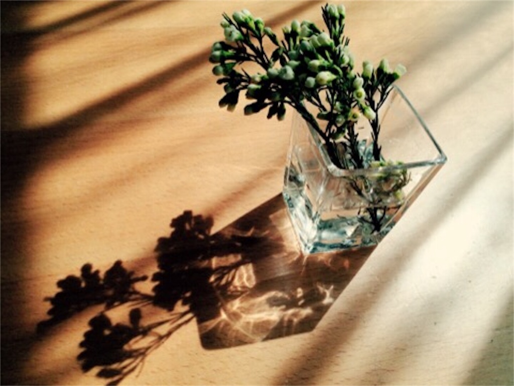 f:id:akislog:20151014204226j:image f:id:akislog:20151014204226j:image