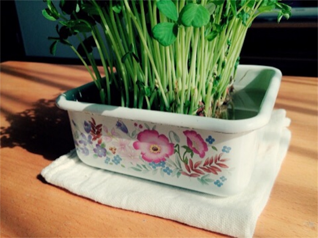 f:id:akislog:20151023165317j:image f:id:akislog:20151023165317j:image