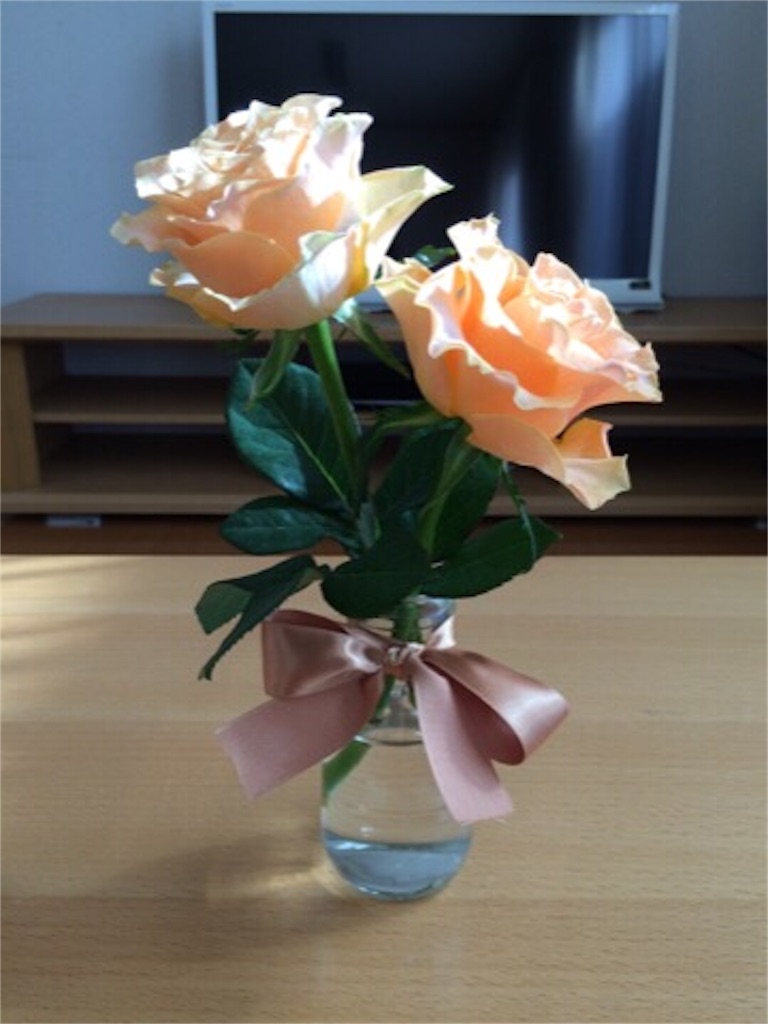f:id:akislog:20151112161634j:image f:id:akislog:20151112161634j:image