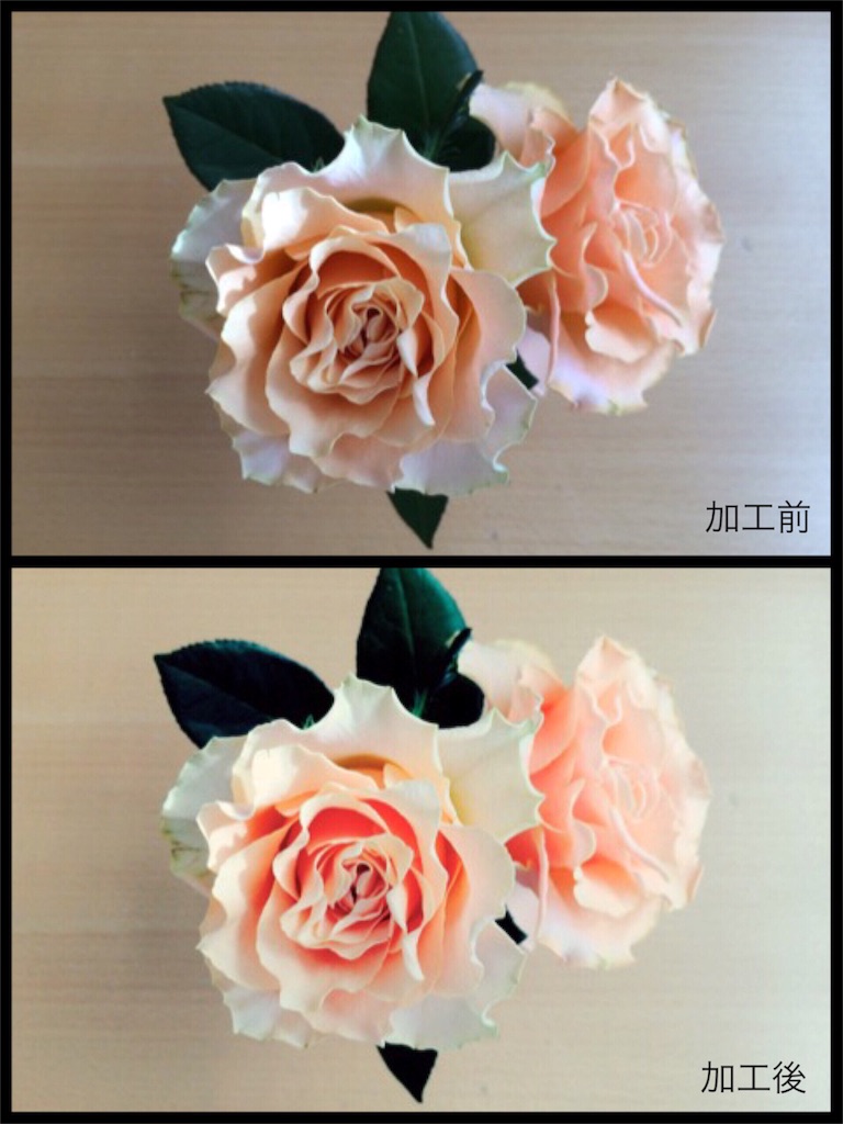 f:id:akislog:20151112161819j:image f:id:akislog:20151112161819j:image