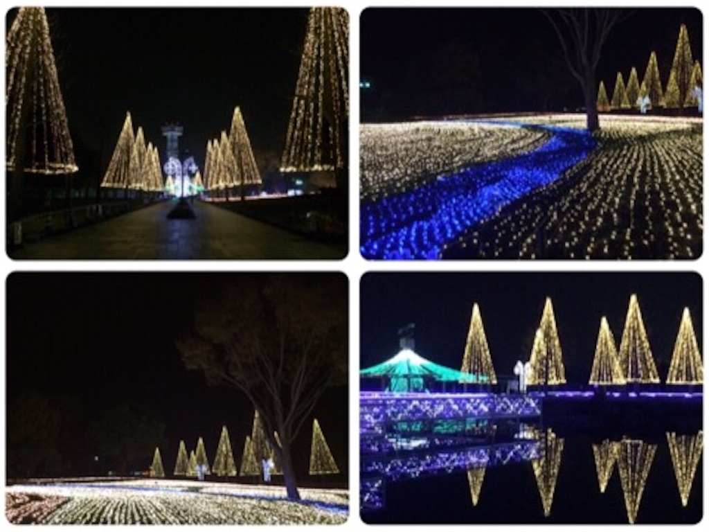 f:id:akislog:20151207170919j:image f:id:akislog:20151207170919j:image