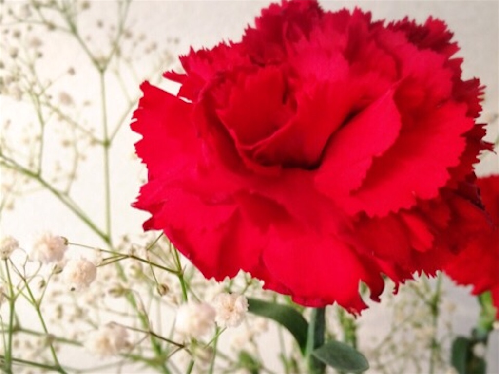 f:id:akislog:20151210075927j:image f:id:akislog:20151210075927j:image