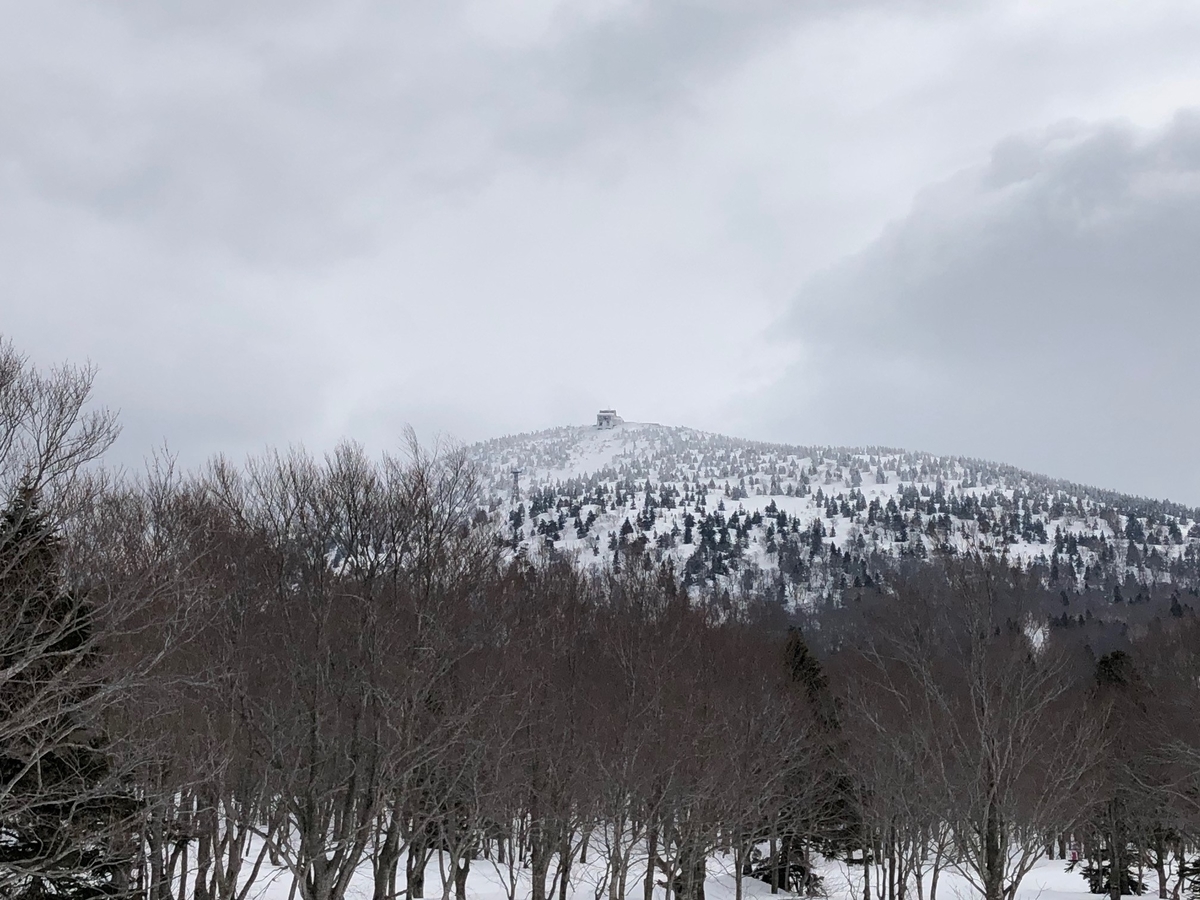 f:id:akita-ent:20190327113833j:plain f:id:akita-ent:20190327113833j:plain