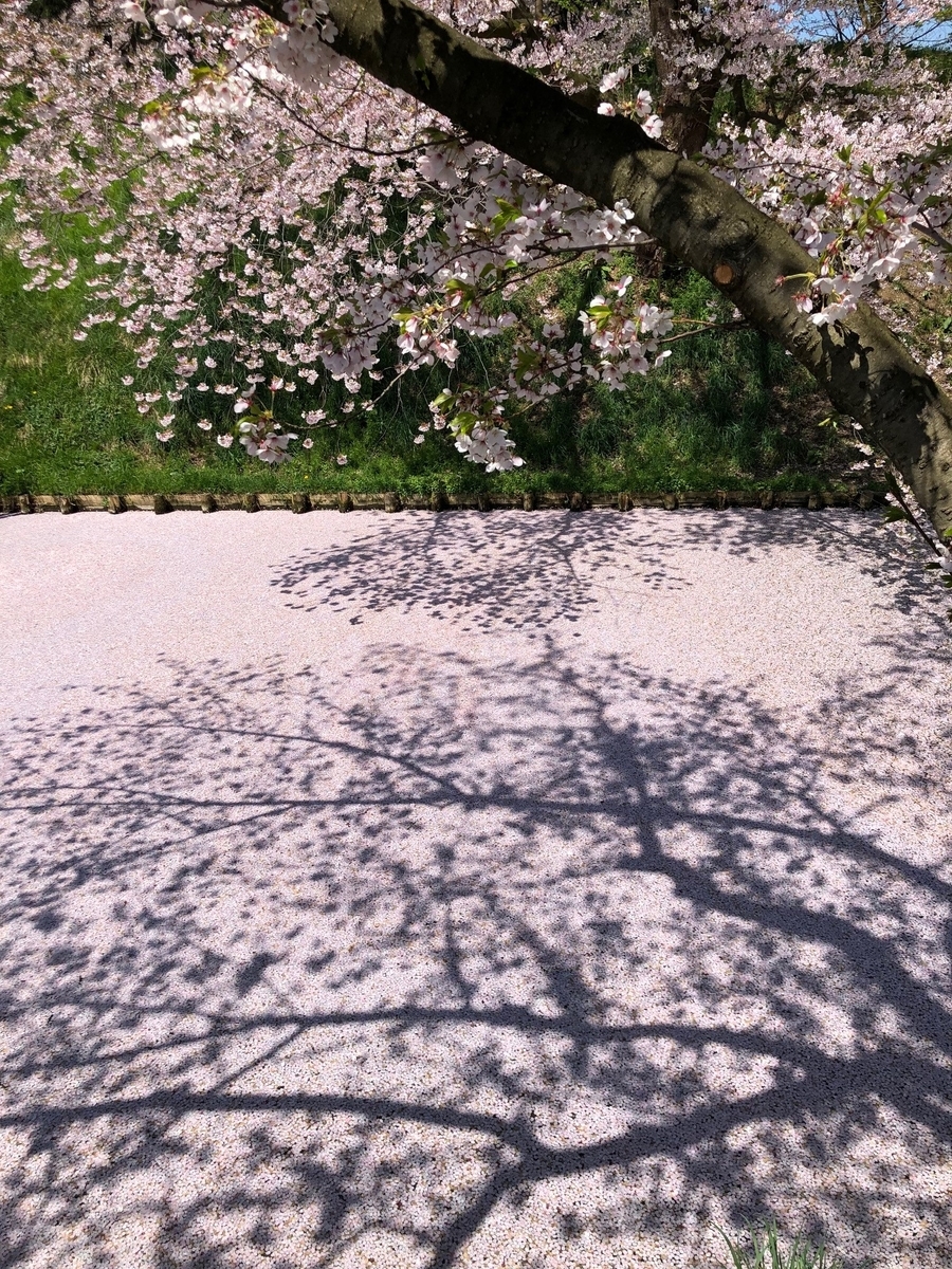 f:id:akita-ent:20190430134334j:plain f:id:akita-ent:20190430134334j:plain