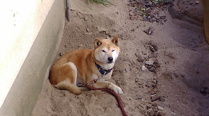 f:id:akita319:20090902124005j:image