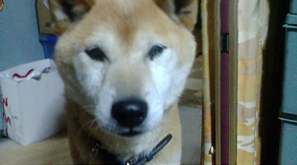 f:id:akita319:20090909201637j:image f:id:akita319:20090909201637j:image