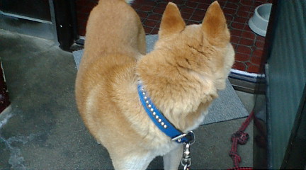 f:id:akita319:20090922092813j:image