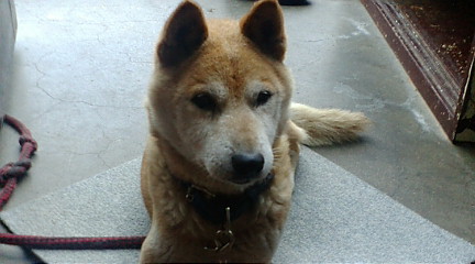 f:id:akita319:20090922094416j:image f:id:akita319:20090922094416j:image