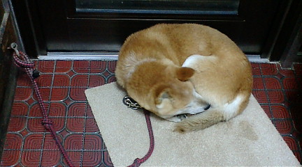 f:id:akita319:20091213214446j:image