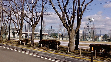 f:id:akita319:20100129111446j:image f:id:akita319:20100129111446j:image