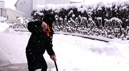 f:id:akita319:20100205113809j:image