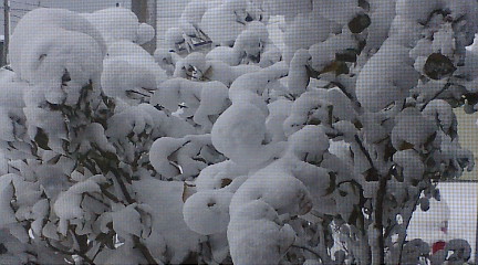 f:id:akita319:20100206072432j:image