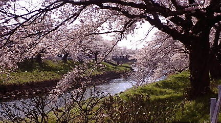 f:id:akita319:20100501143102j:image
