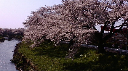 f:id:akita319:20100501143325j:image
