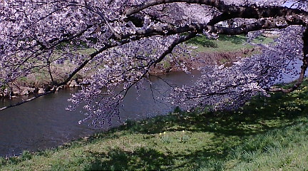 f:id:akita319:20100501143943j:image