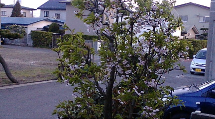 f:id:akita319:20100501182647j:image