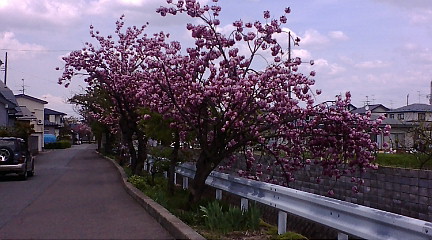 f:id:akita319:20100511124443j:image