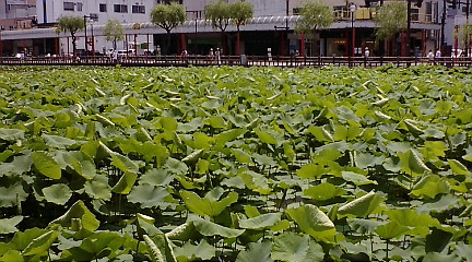 f:id:akita319:20100626115451j:image