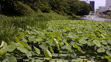 f:id:akita319:20100626115508j:image