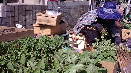 f:id:akita319:20110517145725j:image f:id:akita319:20110517145725j:image