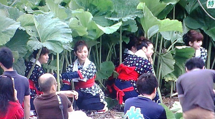 f:id:akita319:20110613063554j:image