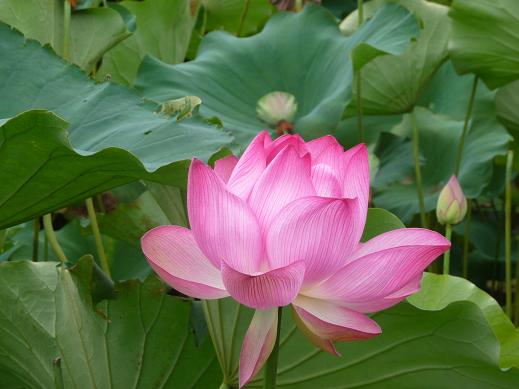 f:id:akita319:20111026193454j:image