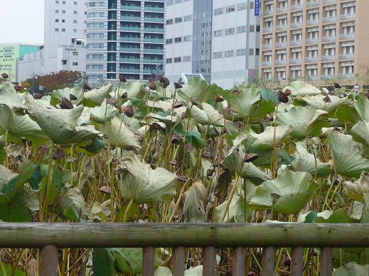 f:id:akita319:20111026193456j:image