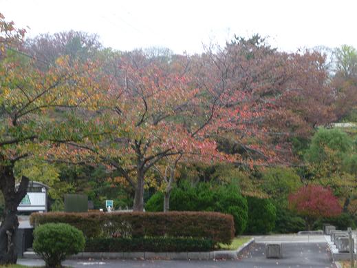 f:id:akita319:20111026193458j:image