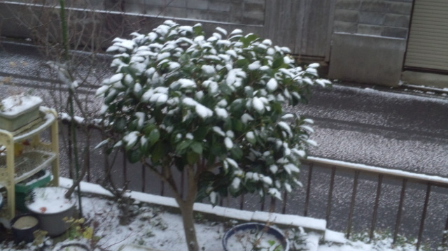 f:id:akita319:20111209074110j:image