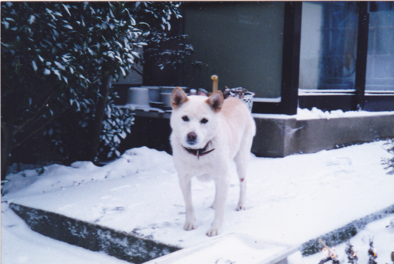 f:id:akita319:20111215211851j:image