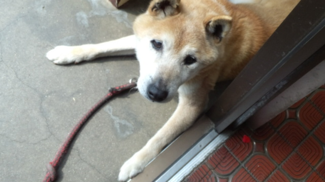 f:id:akita319:20111216051725j:image