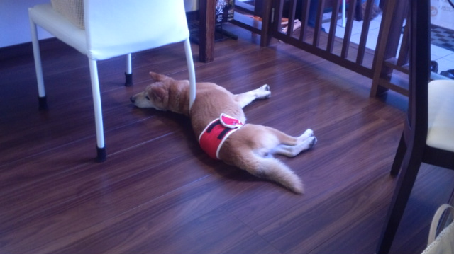 f:id:akita319:20120104195236j:image