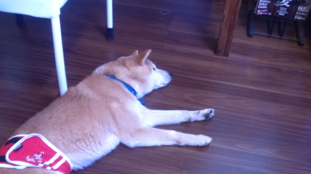 f:id:akita319:20120104195237j:image