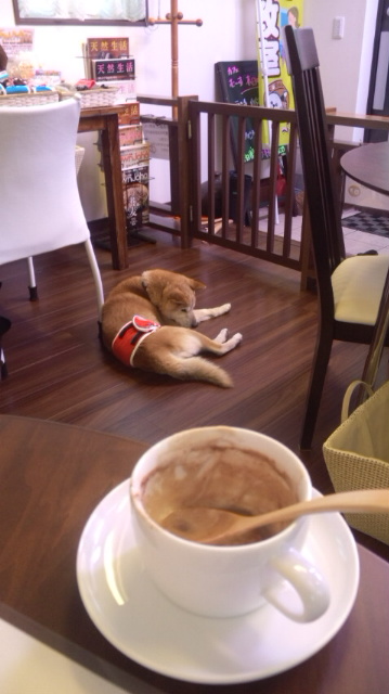 f:id:akita319:20120104195238j:image
