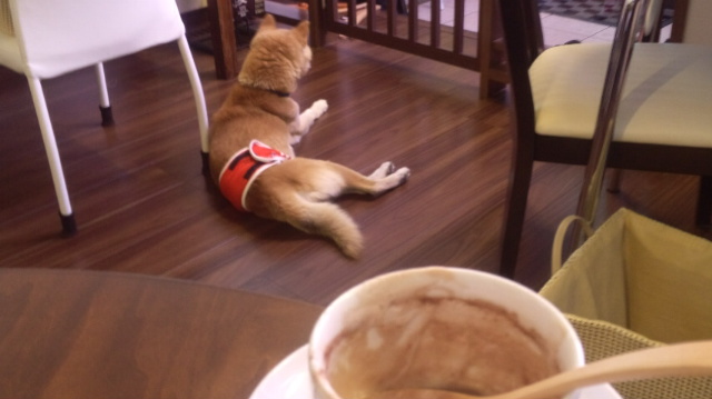 f:id:akita319:20120104195239j:image