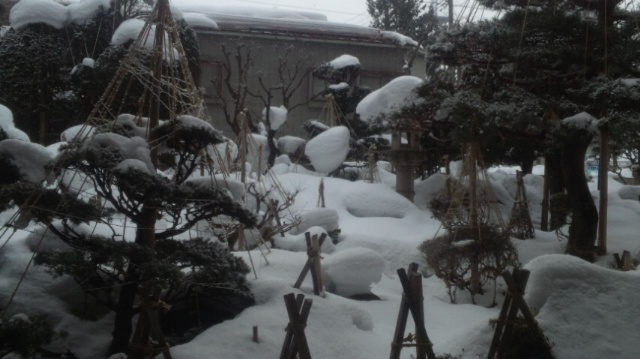 f:id:akita319:20120224223738j:image f:id:akita319:20120224223738j:image