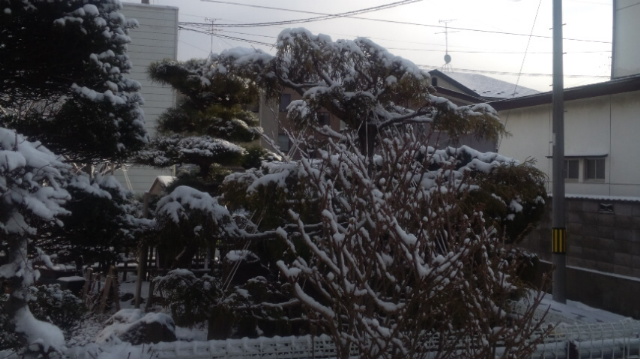 f:id:akita319:20120320083406j:image